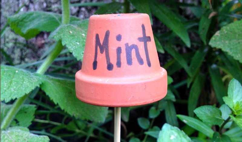 Mint flower pot garden marker for backyard garden
